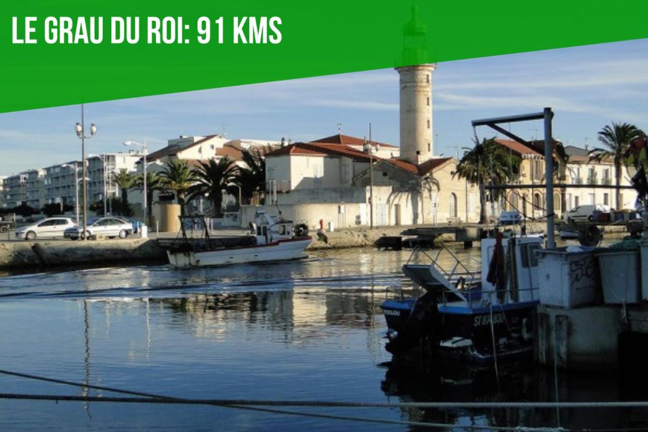 Au Roi Rene - Ac Clim - Wifi Avignon Exterior foto